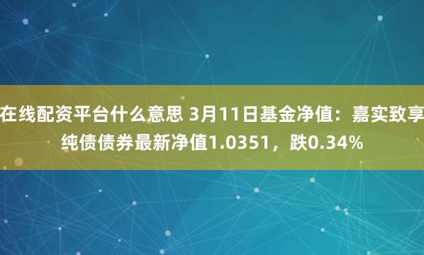 在线配资平台什么意思 3月11日基金净值：嘉实致享纯债债券最新净值1.0351，跌0.34%