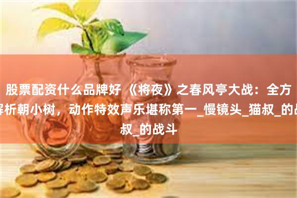 股票配资什么品牌好 《将夜》之春风亭大战：全方位解析朝小树，动作特效声乐堪称第一_慢镜头_猫叔_的战斗