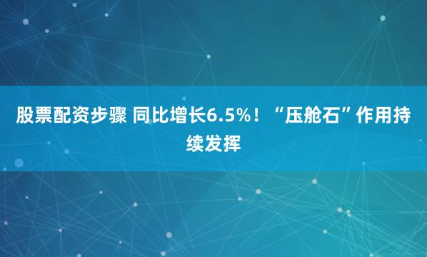 股票配资步骤 同比增长6.5%！“压舱石”作用持续发挥