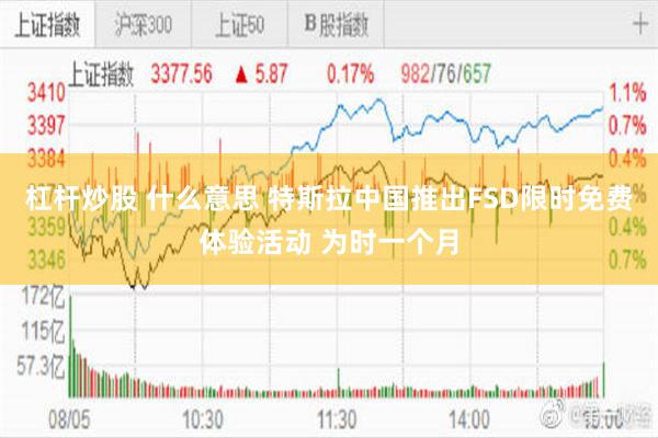 杠杆炒股 什么意思 特斯拉中国推出FSD限时免费体验活动 为时一个月