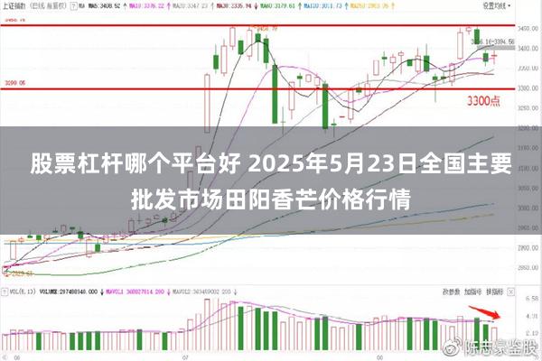 股票杠杆哪个平台好 2025年5月23日全国主要批发市场田阳香芒价格行情