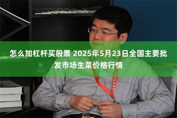 怎么加杠杆买股票 2025年5月23日全国主要批发市场生菜价格行情