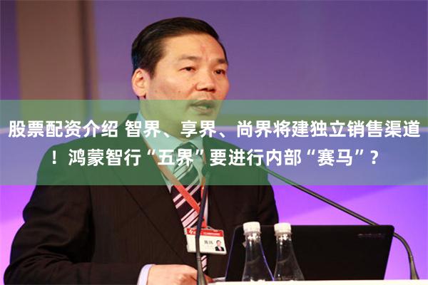 股票配资介绍 智界、享界、尚界将建独立销售渠道！鸿蒙智行“五界”要进行内部“赛马”？