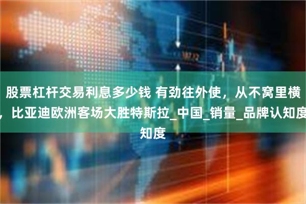 股票杠杆交易利息多少钱 有劲往外使，从不窝里横，比亚迪欧洲客场大胜特斯拉_中国_销量_品牌认知度