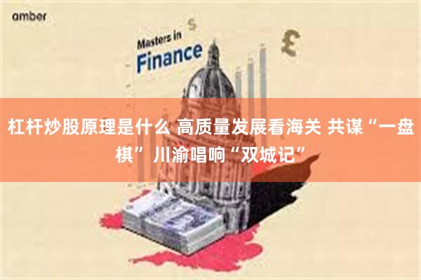 杠杆炒股原理是什么 高质量发展看海关 共谋“一盘棋” 川渝唱响“双城记”