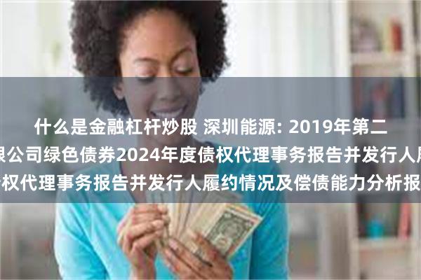 什么是金融杠杆炒股 深圳能源: 2019年第二期深圳能源集团股份有限公司绿色债券2024年度债权代理事务报告并发行人履约情况及偿债能力分析报告